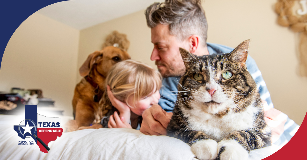 Family relaxing on a bed with a cat and a dog.
